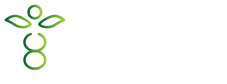 Quanta